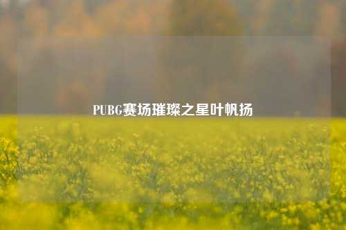 PUBG赛场璀璨之星叶帆扬