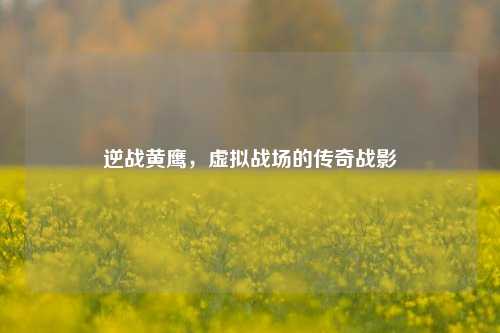 逆战黄鹰，虚拟战场的传奇战影