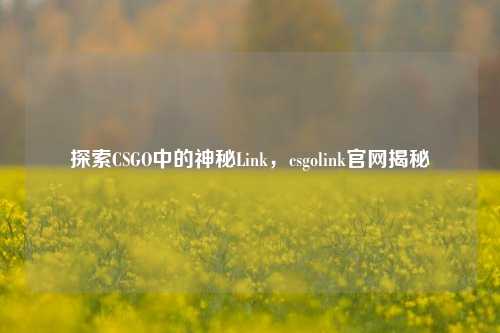 探索CSGO中的神秘Link,csgolink官网揭秘