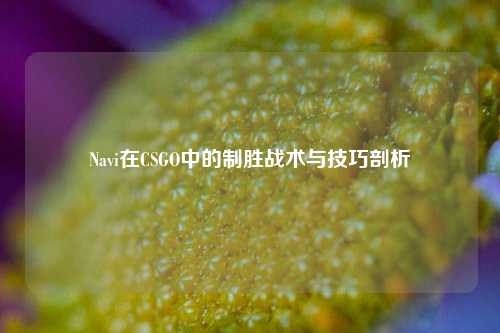 Navi在CSGO中的制胜战术与技巧剖析