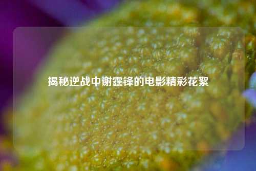 揭秘逆战中谢霆锋的电影精彩花絮