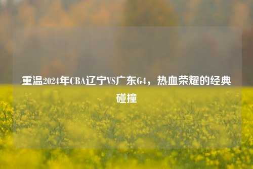 重温2024年CBA辽宁VS广东G4,热血荣耀的经典碰撞