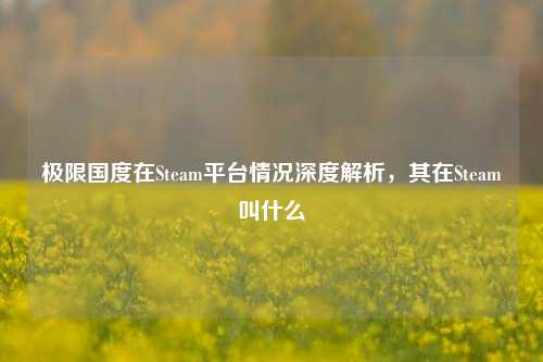 极限国度在Steam平台情况深度解析，其在Steam叫什么