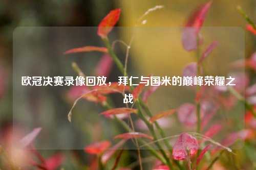 欧冠决赛录像回放,拜仁与国米的巅峰荣耀之战