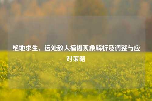 绝地求生，远处敌人模糊现象解析及调整与应对策略