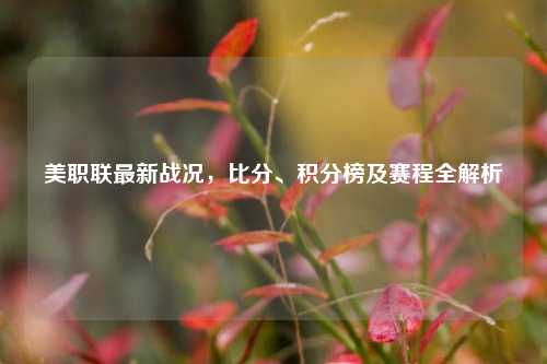 美职联最新战况，比分、积分榜及赛程全解析