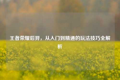 王者荣耀后羿，从入门到精通的玩法技巧全解析