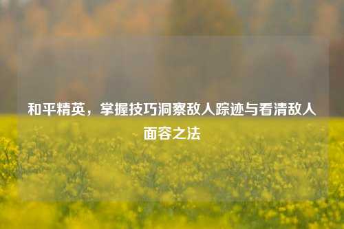 和平精英，掌握技巧洞察敌人踪迹与看清敌人面容之法