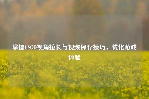 掌握CSGO视角拉长与视频保存技巧，优化游戏体验
