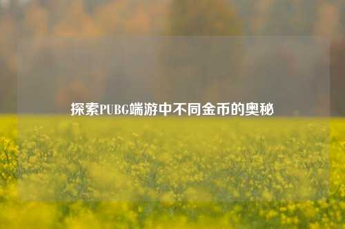 探索PUBG端游中不同金币的奥秘