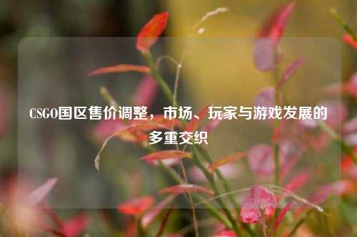 CSGO国区售价调整，市场、玩家与游戏发展的多重交织