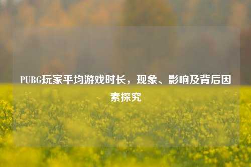 PUBG玩家平均游戏时长,现象、影响及背后因素探究