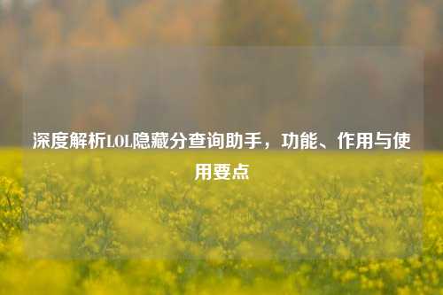 深度解析LOL隐藏分查询助手,功能、作用与使用要点