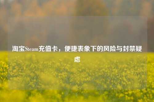 淘宝Steam充值卡,便捷表象下的风险与封禁疑虑
