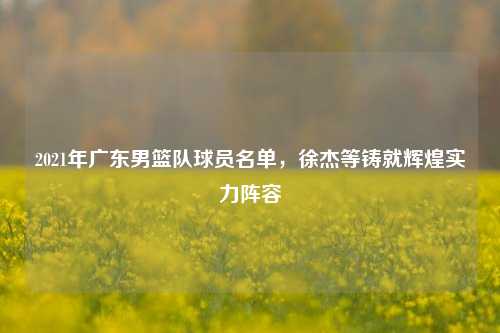 2021年广东男篮队球员名单，徐杰等铸就辉煌实力阵容