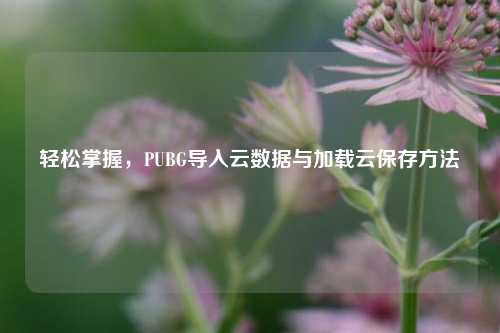 轻松掌握,PUBG导入云数据与加载云保存方法