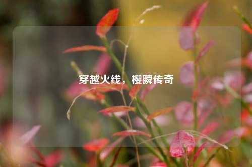 穿越火线，樱瞬传奇
