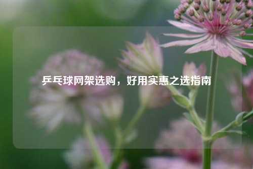 乒乓球网架选购,好用实惠之选指南