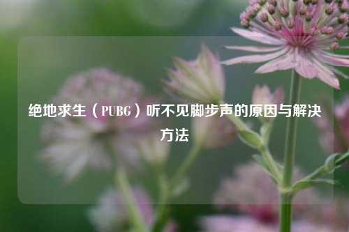 绝地求生(PUBG)听不见脚步声的原因与解决方法