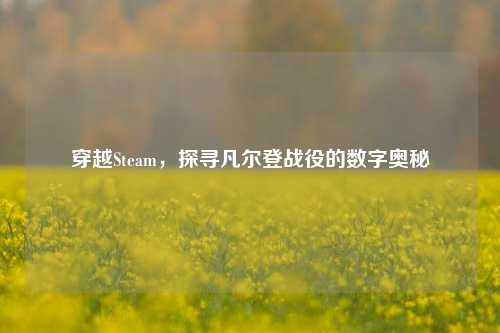 穿越Steam,探寻凡尔登战役的数字奥秘