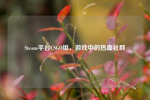 Steam平台CSGO组,游戏中的热血社群