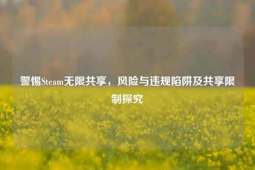 警惕Steam无限共享,风险与违规陷阱及共享限制探究
