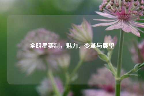全明星赛制,魅力、变革与展望