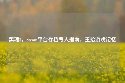 黑魂3,Steam平台存档导入指南,重拾游戏记忆