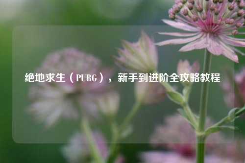 绝地求生（PUBG），新手到进阶全攻略教程