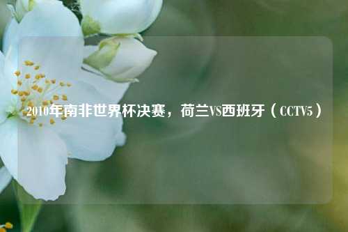 2010年南非世界杯决赛,荷兰VS西班牙(CCTV5)