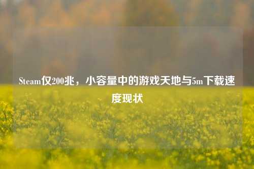 Steam仅200兆,小容量中的游戏天地与5m下载速度现状