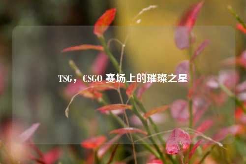 TSG，CSGO 赛场上的璀璨之星