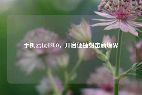 手机云玩CSGO，开启便捷射击新境界