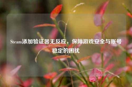 Steam添加验证器无反应，保障游戏安全与账号稳定的困扰