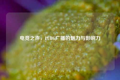 电竞之声，PUBG广播的魅力与影响力