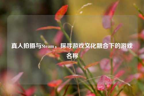真人拍摄与Steam，探寻游戏文化融合下的游戏名称