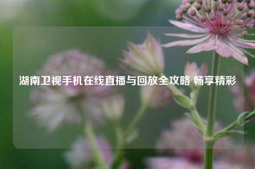 湖南卫视手机在线直播与回放全攻略 畅享精彩