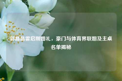 郭晶晶霍启刚婚礼,豪门与体育界联姻及主桌名单揭秘