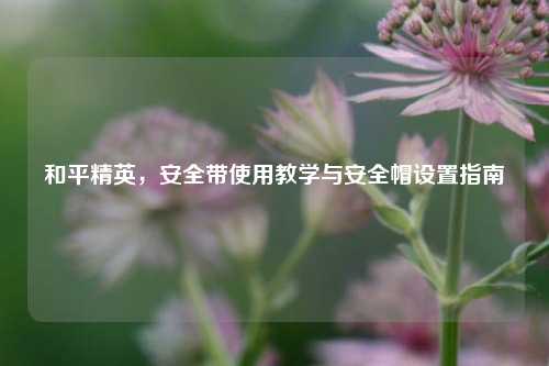 和平精英,安全带使用教学与安全帽设置指南