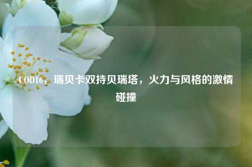 COD16,瑞贝卡双持贝瑞塔,火力与风格的激情碰撞