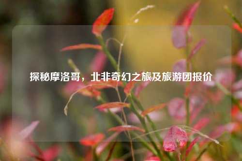 探秘摩洛哥,北非奇幻之旅及旅游团报价