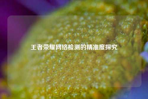 王者荣耀网络检测的精准度探究