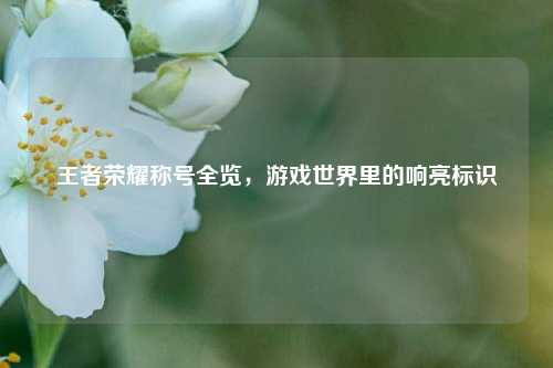 王者荣耀称号全览,游戏世界里的响亮标识