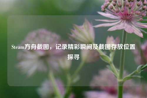Steam方舟截图，记录精彩瞬间及截图存放位置探寻