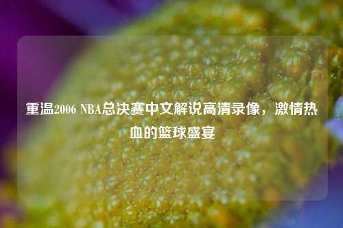 重温2006 NBA总决赛中文解说高清录像，激情热血的篮球盛宴