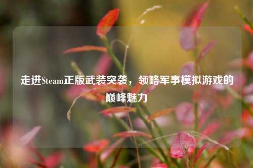 走进Steam正版武装突袭,领略军事模拟游戏的巅峰魅力
