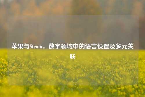 苹果与Steam，数字领域中的语言设置及多元关联