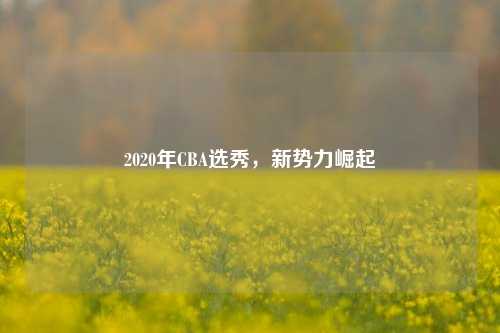 2020年CBA选秀,新势力崛起