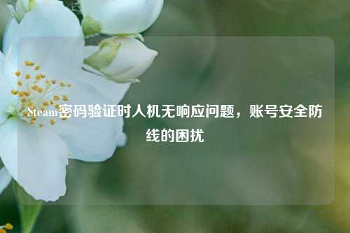 Steam密码验证时人机无响应问题,账号安全防线的困扰