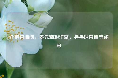 企鹅直播间，多元精彩汇聚，乒乓球直播等你来
